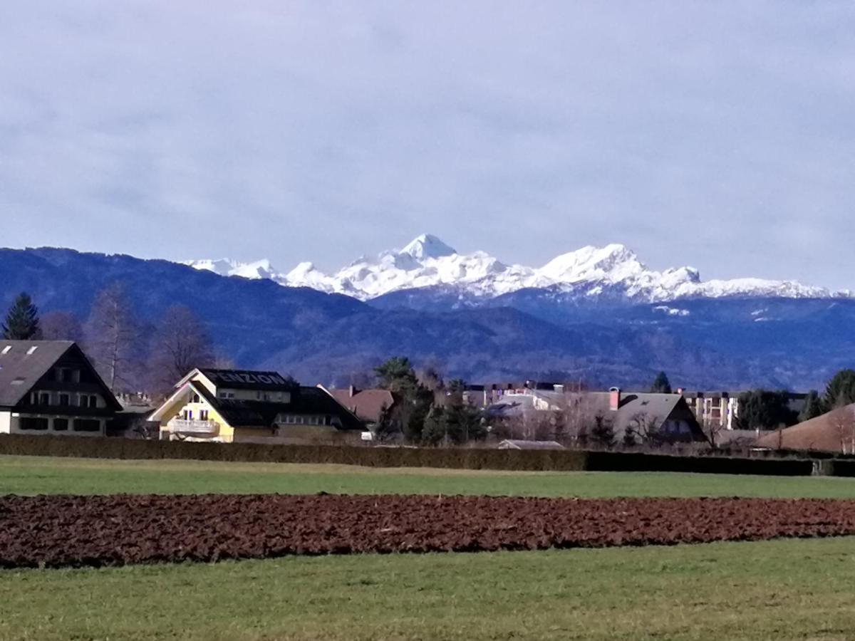 Edelweiss Διαμέρισμα Radovljica Εξωτερικό φωτογραφία